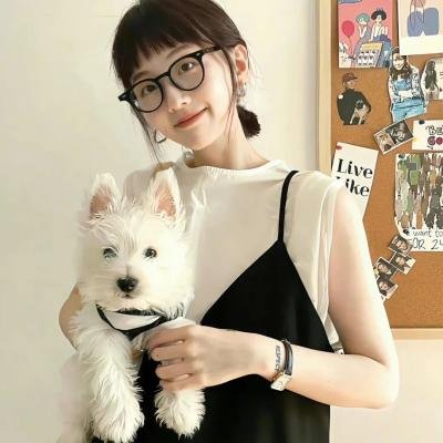 猫咪情缘