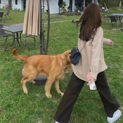追踪者
